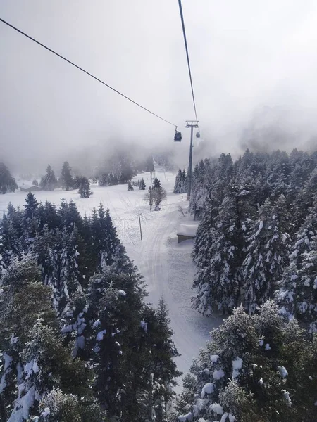 Ormanda sisli ve soğuk bir atmosferi olan teleferiğe bin, beyaz.