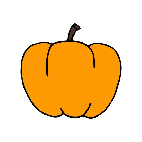 Karalama tarzında renkli balkabağı. Cadılar bayramı ve hasatın el çizimi sembolü. Vektör illüstrasyonu