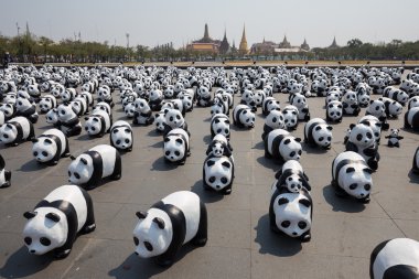 1600 pandalar Tayland