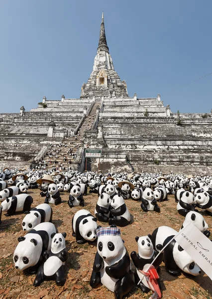 Pandas em Tailândia — Fotografia de Stock