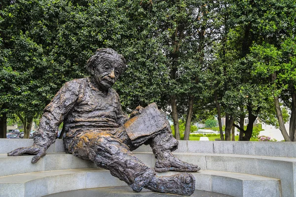 Einstein bir kitap okuma heykeli