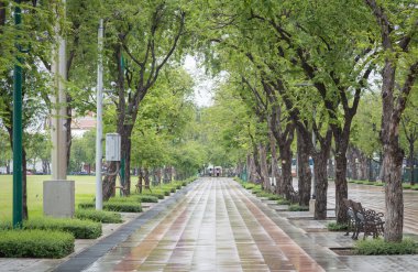 Islak yürüyüş yolu