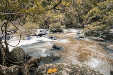 Hareketli su rock Nehri üzerinde