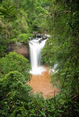 tropikal orman yüksek şelale