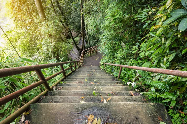 Wysokie i strome schody wewnątrz lasu — Zdjęcie stockowe