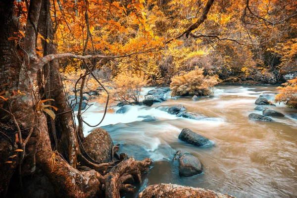 Yağmur ormanındaki güçlü çamur Nehri — Stok fotoğraf