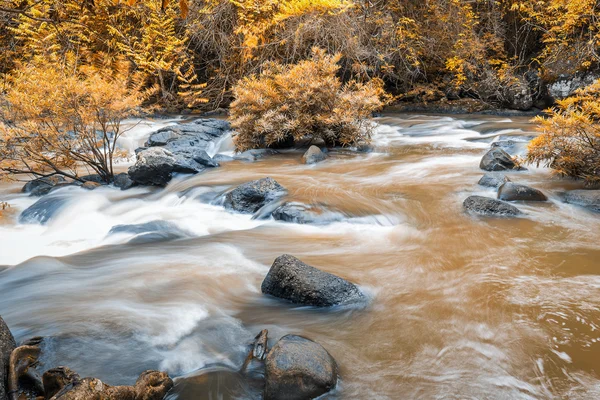 Sonbahar ormandaki güçlü çamur Nehri — Stok fotoğraf
