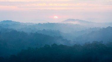 Güneşin doğuşunun sabah manzarası. Gün doğumunda sisle kaplanmış tropikal yağmur ormanları..