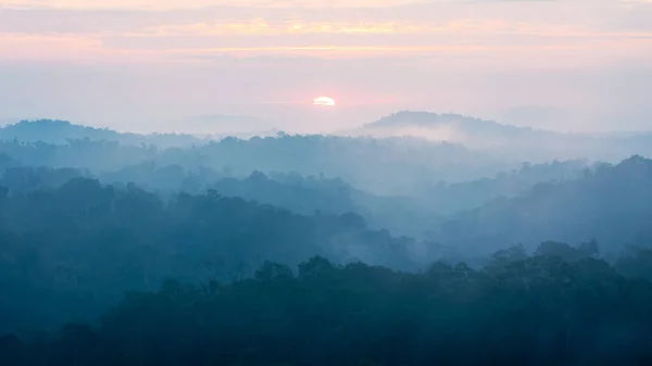 Morgenszene Des Sonnenaufgangs Mit Tropischem Regenwald Bedeckt Mit Nebel Und — Stockfoto