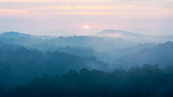 Cena Matinal Nascer Sol Com Floresta Tropical Coberta Neblina Névoa Imagens De Bancos De Imagens Sem Royalties