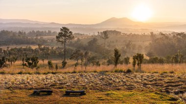 Tayland 'ın tropikal yağmur ormanlarındaki gündoğumu manzarası Thung Salang Luang, ağaçlar ve çayırlar turuncu renge dönüşür.. 