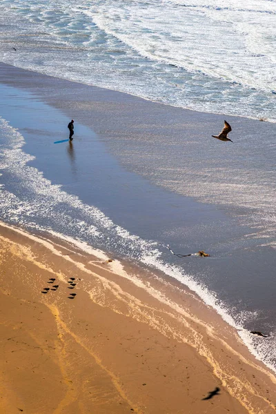 Vista Aérea Personas Aves Marinas Fogones Playa Ocean Del Océano —  Fotos de Stock