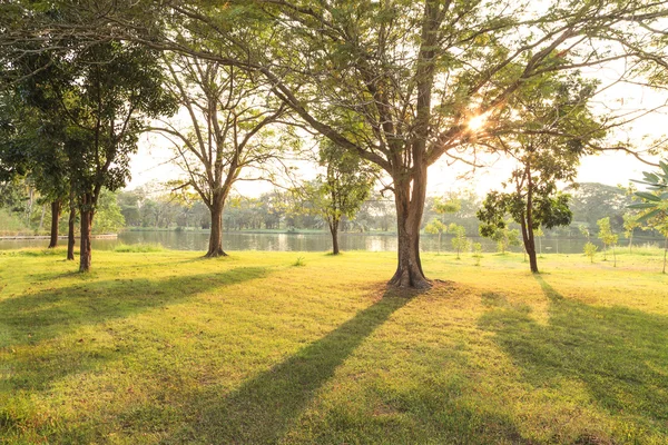 Gün batımından önce Park — Stok fotoğraf