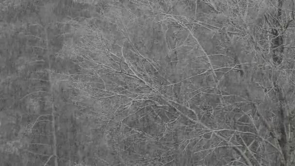 灰色和暴风雨冬季圣诞节前后的一天 — 图库视频影像