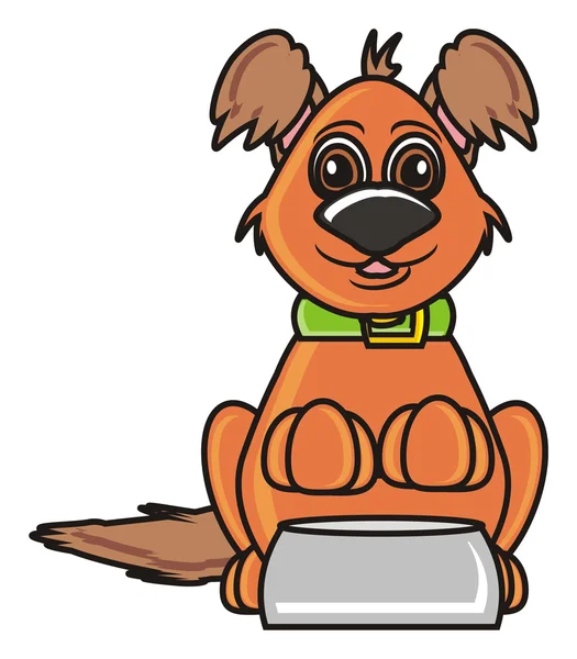 Brun hund med en tom skål — Stockfoto