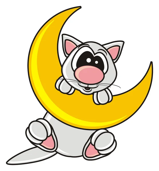 gray cat hanging on the moon