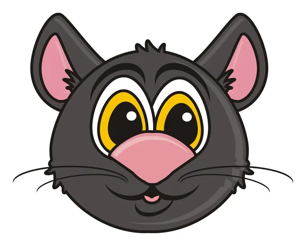 Мумия черной кошки — стоковое фото