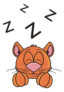 kahverengi namlu kedi uyur