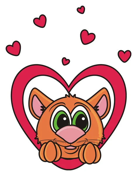 Brown cat peeking out of the heart — Stock Photo, Image