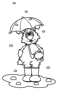 bir şemsiye ile beyaz tavşan boyama