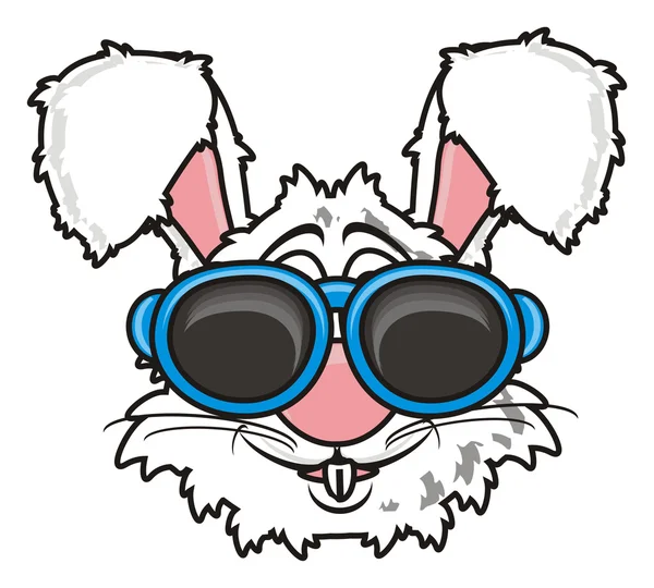 선글라스에 흰 토끼 — 스톡 사진