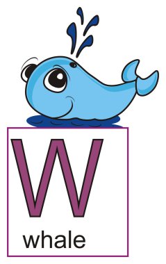 whate looks out letters W