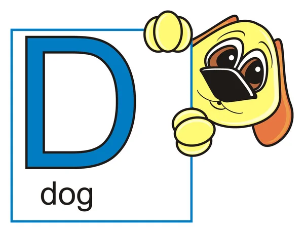 Pies wgląd z liter D — Zdjęcie stockowe