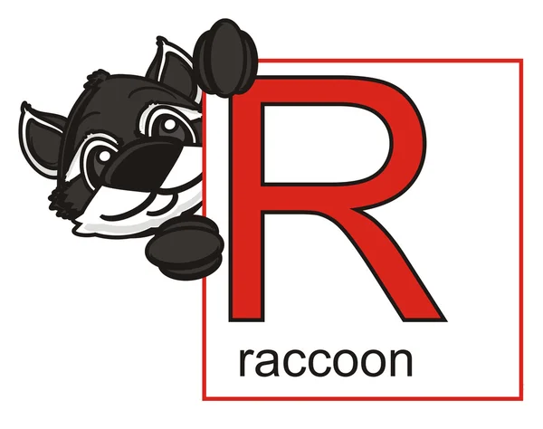 Raccoon zagłuszając z liter R — Zdjęcie stockowe