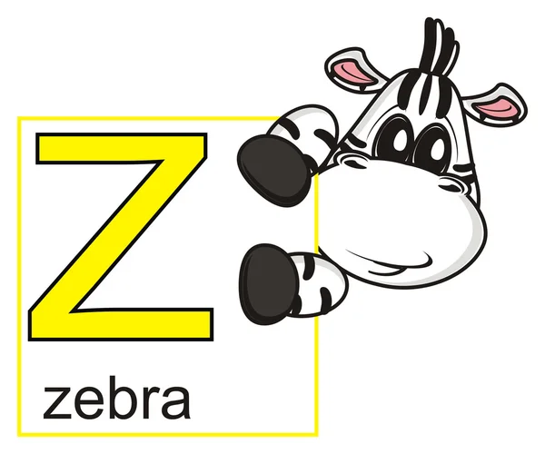 Zebra holding lette Z — Stok fotoğraf
