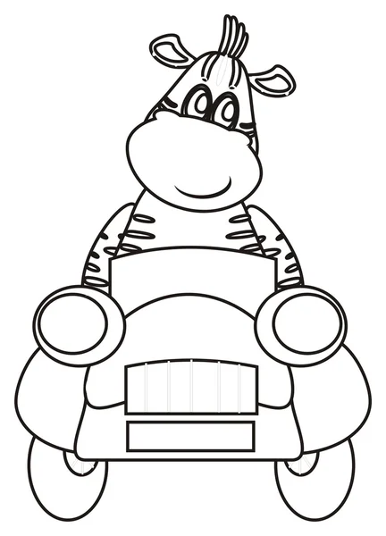 Färbung Zebra sitzt in einem Auto — Stockfoto