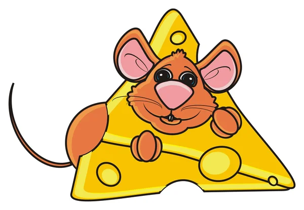 Maus ragt aus einem Stück Käse — Stockfoto