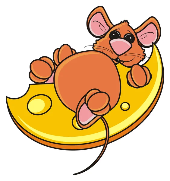 Thick mouse lies on cheese — Stock Photo, Image