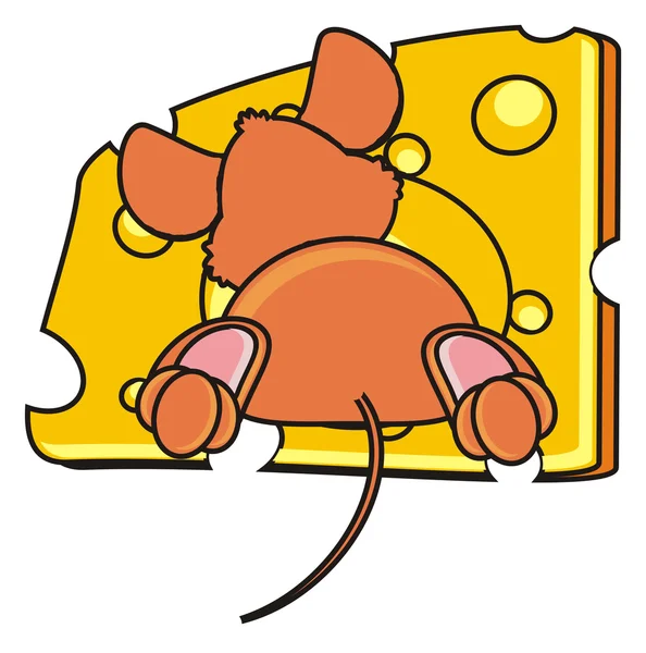 Το ποντίκι είναι πίσω και τρώει τυρί — Φωτογραφία Αρχείου
