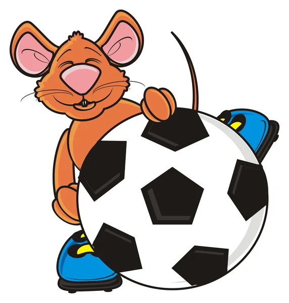 Ratón espiando desde detrás de una pelota de fútbol — Foto de Stock