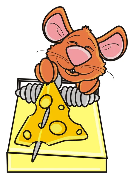 Mouse peeking out of the mousetrap — Stock Photo, Image