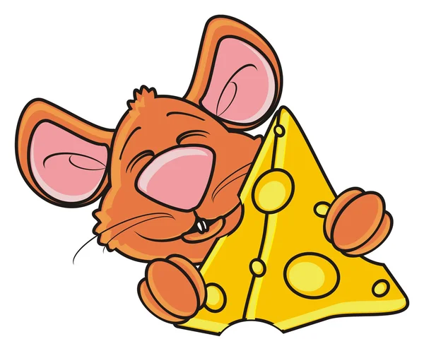 Rato segurando um pedaço de queijo — Fotografia de Stock