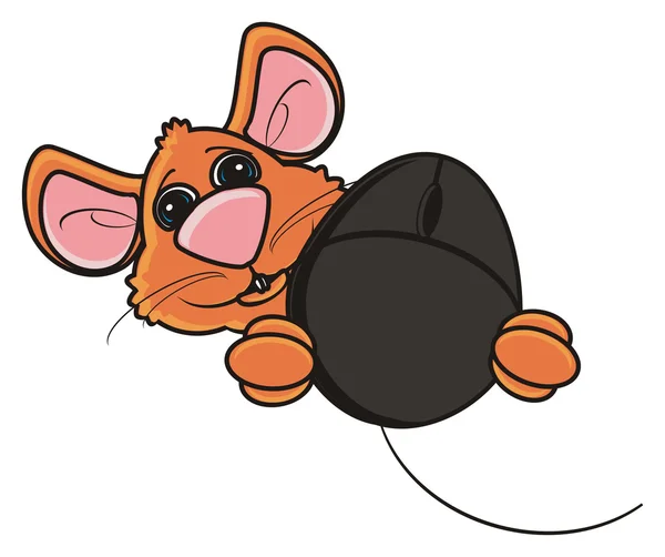 Myš, držící počítačovou myš — Stock fotografie