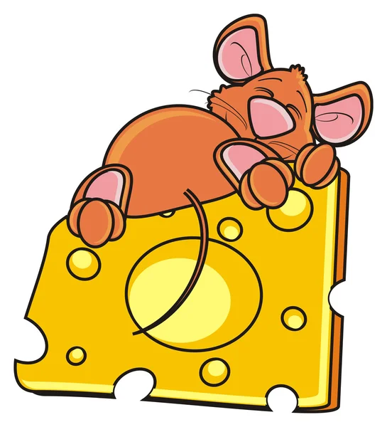 Mouse sleeping on cheese — Stock Photo, Image