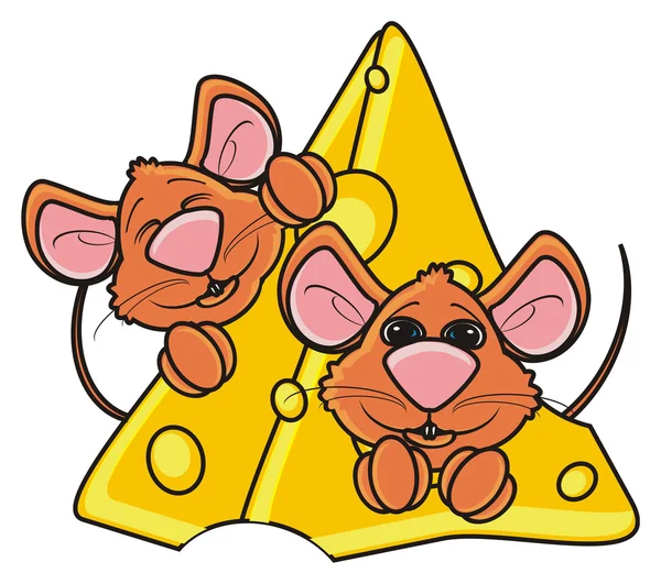 Dois ratos focinho saindo de queijo — Fotografia de Stock