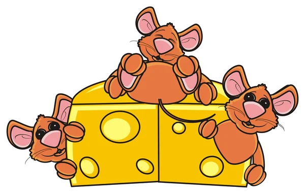 Trzy myszy szczęśliwy w serze — Zdjęcie stockowe