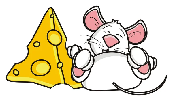 Freude über weiße Maus liegt in der Nähe des Käses — Stockfoto