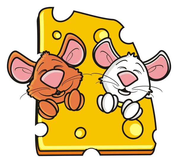 Rato branco e castanho sentado em queijo — Fotografia de Stock