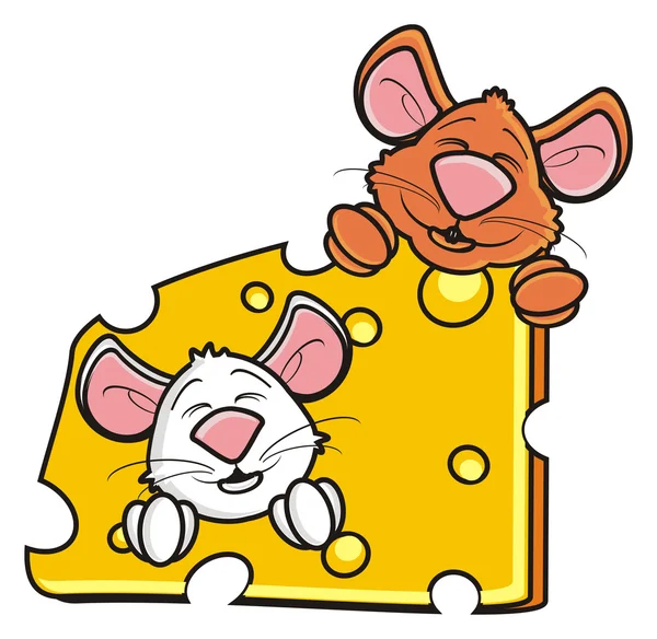 Weiße und braune Maus im Käse — Stockfoto