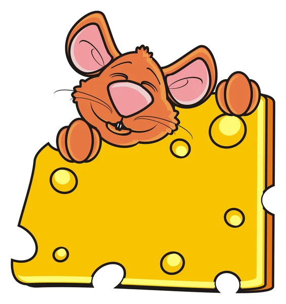 Hocico de ratón espiando detrás de un pedazo de queso — Foto de Stock