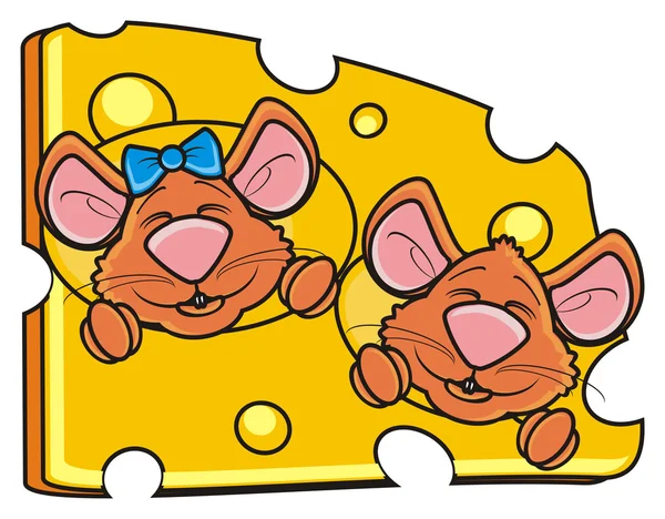 Dois focinho de rato peep cheese — Fotografia de Stock