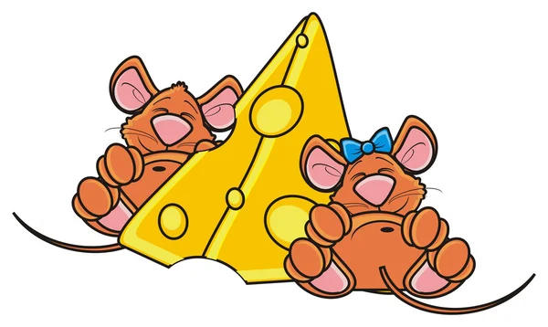 Dos ratón dormir para un enorme pedazo de queso —  Fotos de Stock