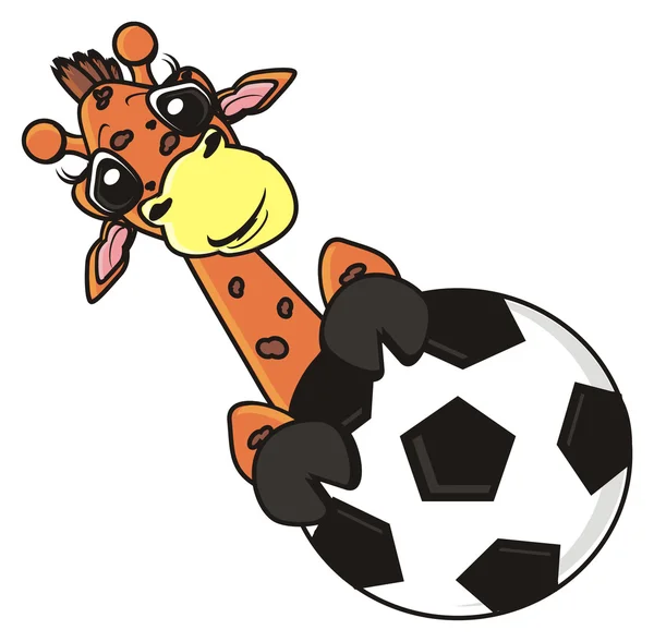 Καμηλοπάρδαλη κρατήσει μπάλα ποδοσφαίρου — Φωτογραφία Αρχείου