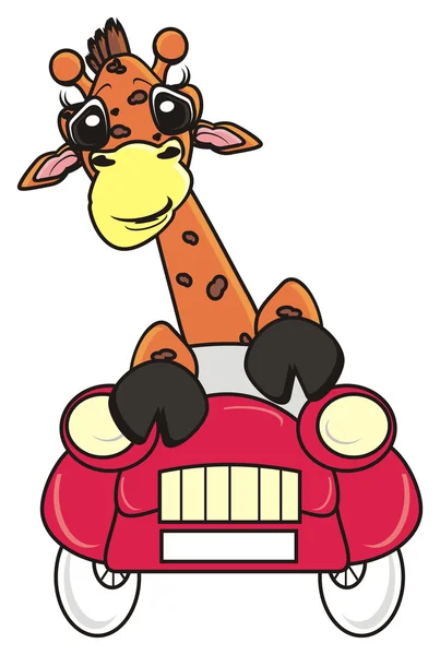 Жираф сидить у червоній машині — стокове фото