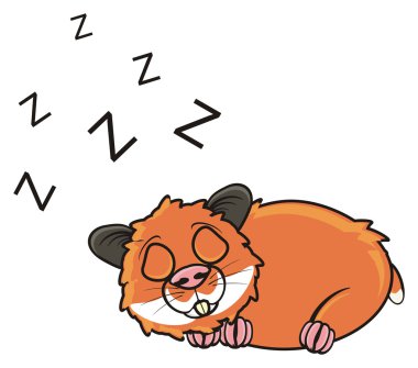 kahverengi hamster uyur
