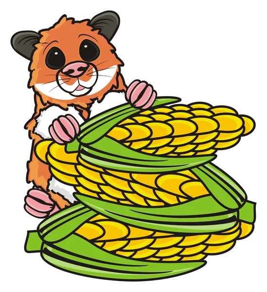 Hamster and corn — Stock Photo, Image